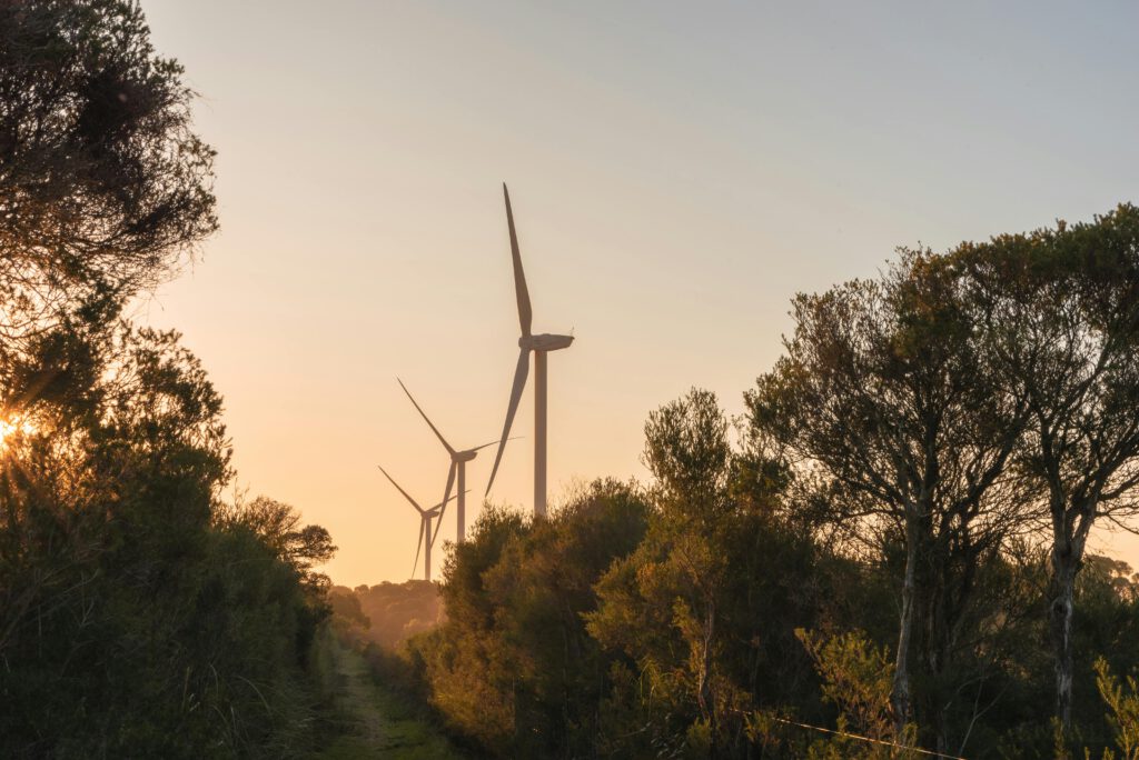 Windturbine im Wald